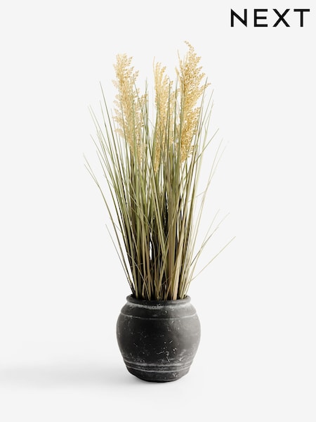 Green Artificial Pampass Grass In Textured Black Pot (AM5140) | AED347