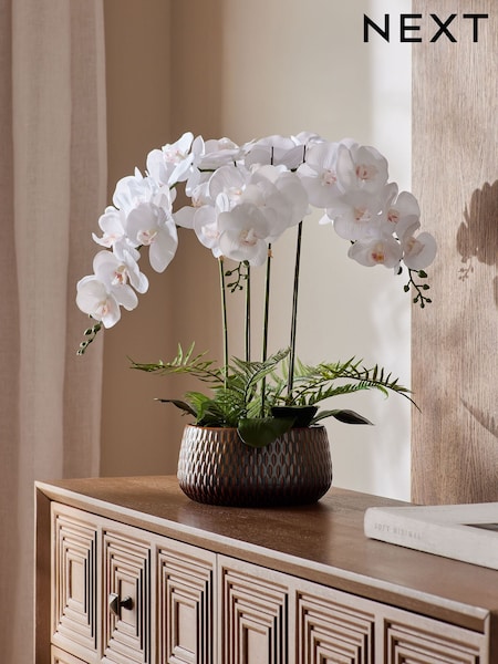 White Artificial Real Touch Orchid In Reactive Ceramic Pot (AM5151) | €84