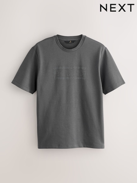 Slate Grey Embroidery Logo Graphic Print T-Shirt (AM8121) | €21