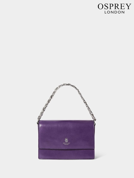 OSPREY LONDON The Chunky Chain Mini Leather Clutch (AN1587) | $341