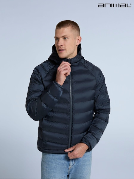 Animal Blue Light Cloud Cosi Mens Padded Jacket (AN5029) | €100