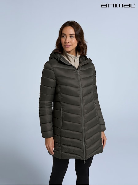 Animal Frankie Womens Padded Longline Jacket (AN5034) | ‏553‏₪