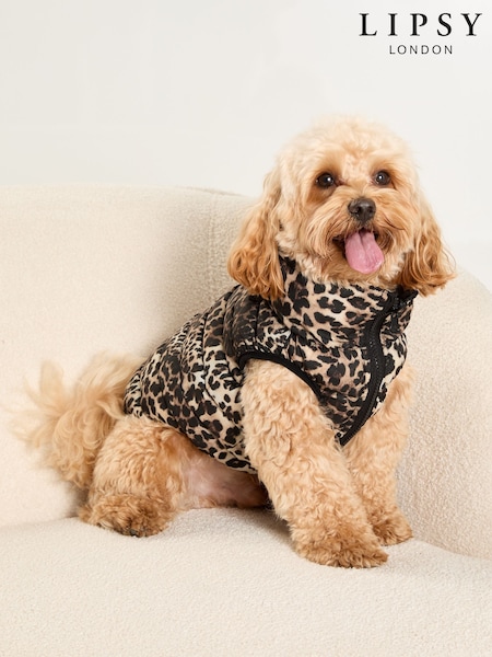 Lipsy Black Reversible Dog Padded Jacket (AN8320) | €20 - €26
