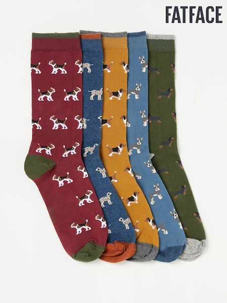 FatFace 5 Pairs of Dog Socks (AP4609) | 1 202 грн