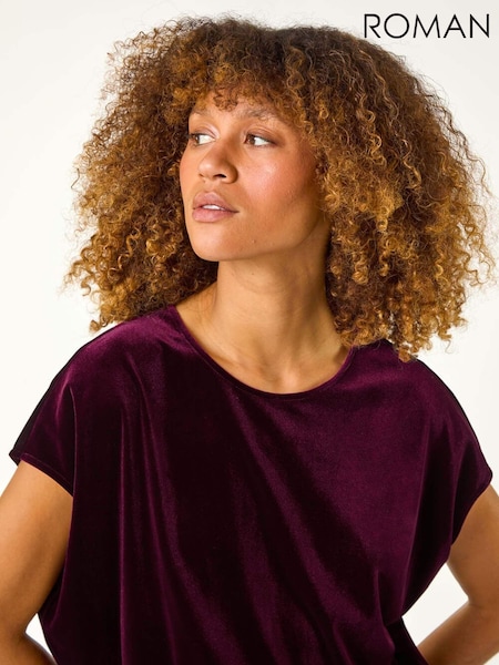 Roman Velvet Round Neck Stretch Top (AP6051) | 313 LEI