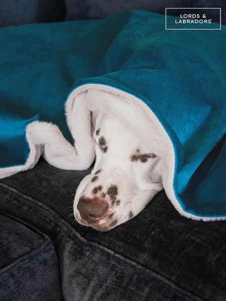 Lords and Labradors Blanket (AR3155) | 39 € - 55 €