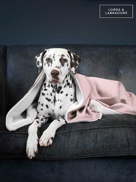 Lords and Labradors Blanket (AR3159) | 35 € - 50 €
