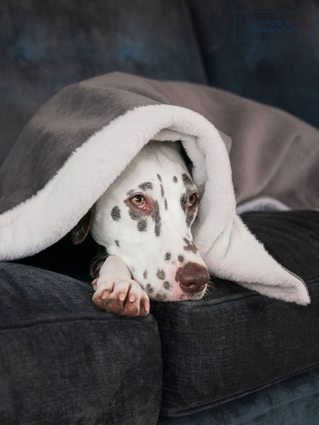 Lords and Labradors Velvet Silt Blanket (AR3161) | €36 - €50