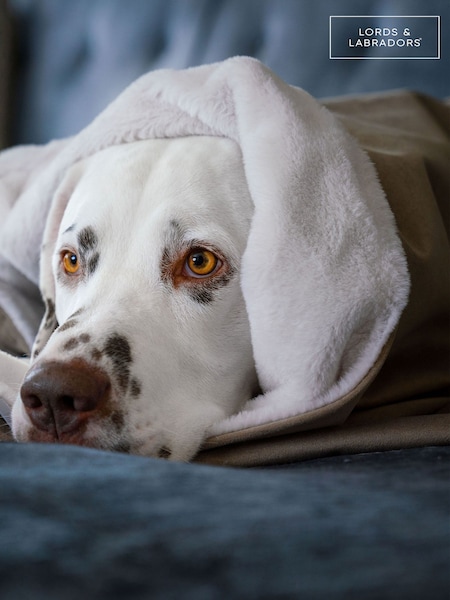 Lords and Labradors Velvet Clay Blanket (AR3162) | € 39 - € 55