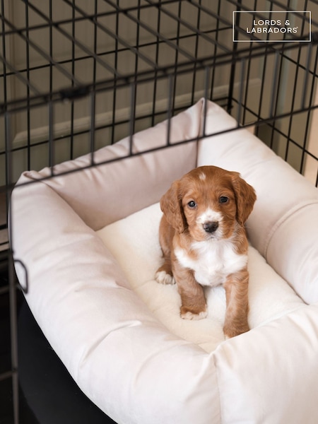 Lords and Labradors Cosy & Calm Puppy Box Bed (AR3337) | 94 € - 125 €