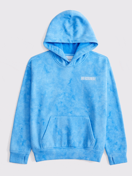 Abercrombie & Fitch Logo Graphic Back Print Hoodie (AR4017) | €55