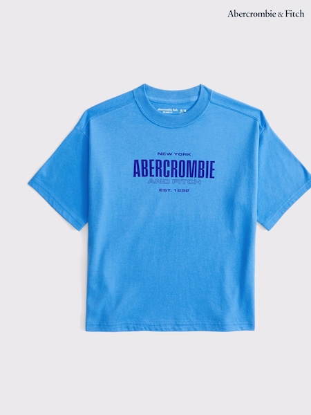 Abercrombie & Fitch Logo Graphic T-Shirt (AR4022) | 23 €