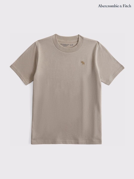 Abercrombie & Fitch Essential Icon Logo T-Shirt (AR4025) | €17