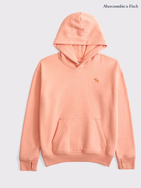 Abercrombie & Fitch Essential Icon Logo Hoodie (AR4028) | €51