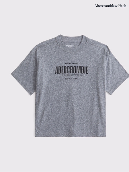 Abercrombie & Fitch Logo Graphic T-Shirt (AR4037) | 23 €