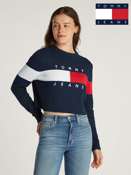 Tommy Jeans Center Flag 100% Cotton Jumper (AR9840) | €88