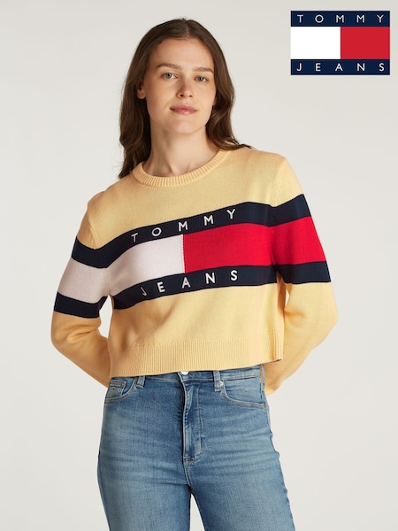 Tommy Jeans Center Flag 100% Cotton Jumper (AR9848) | 417 LEI