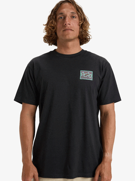 Billabong Graphic Back Print Short Sleeve Logo T-Shirt (AT6315) | €41