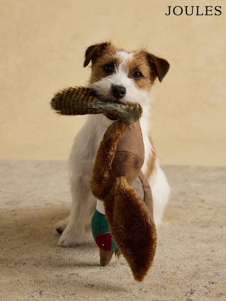 Joules Brown Pheasant Dog Toy (AU0929) | €16
