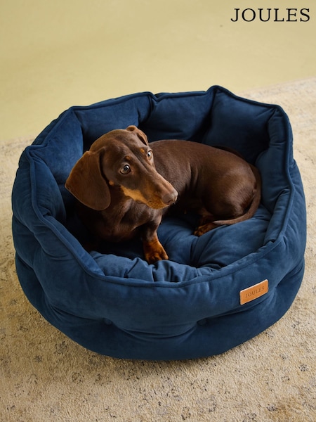 Joules Navy Dog Bed (AU0951) | R$ 395 - R$ 590