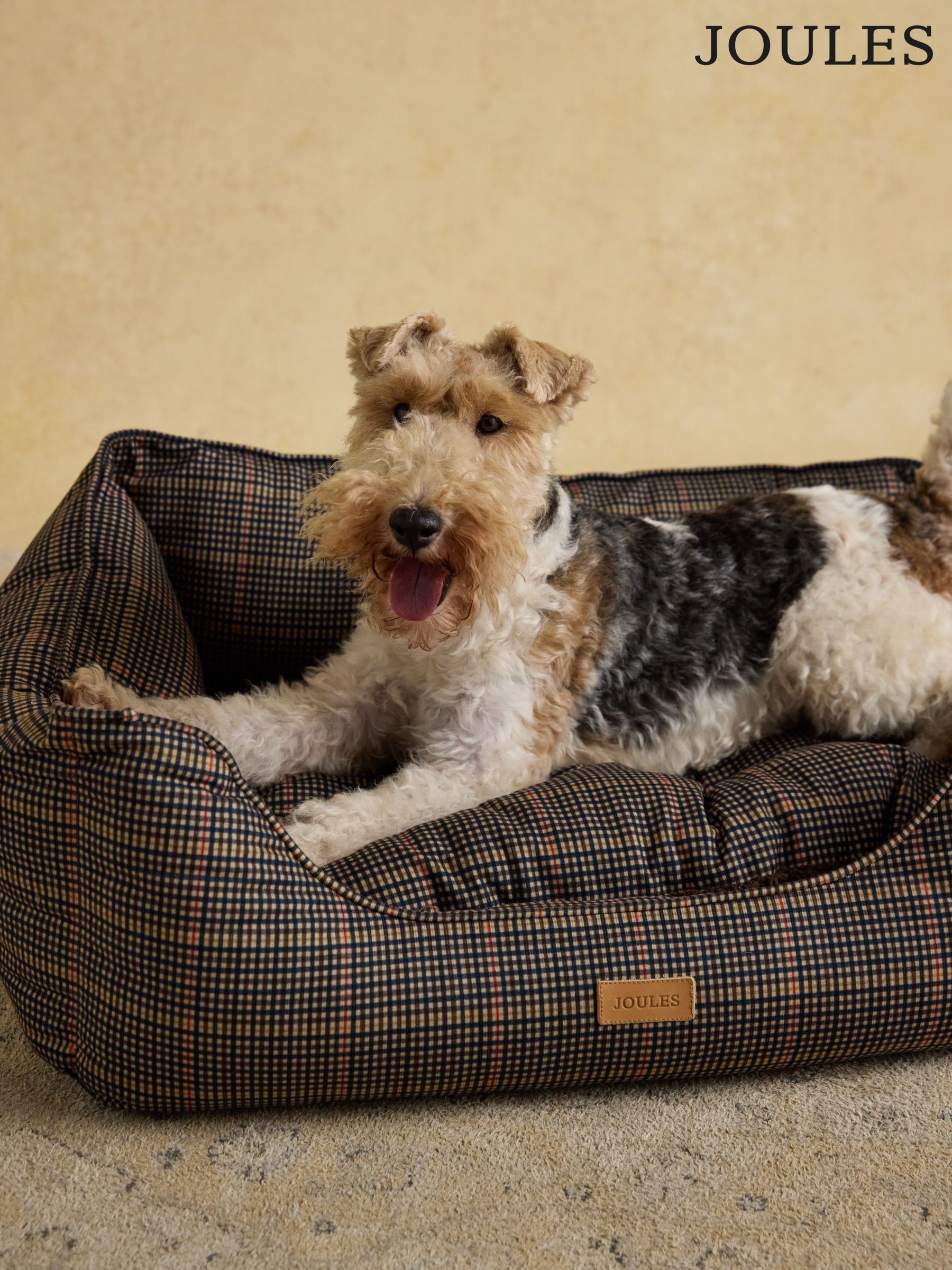 Pet Accessories | Dog & Cat Accessories | Next Romania