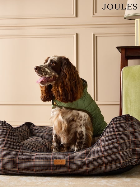 Joules Henson Check Brown Pet Bed (AU0962) | AED233 - AED408
