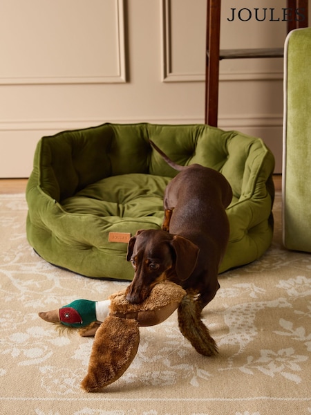 Joules Khaki Chesterfield Pet Bed (AU0968) | AED233 - AED349