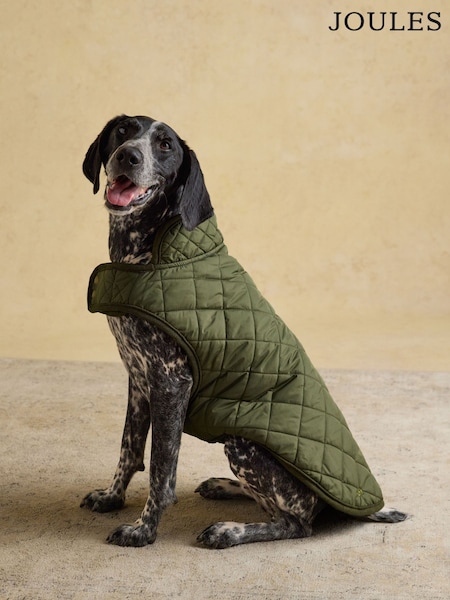 Joules Khaki Green Quilted Dog Coat (AU0969) | AED116 - AED169