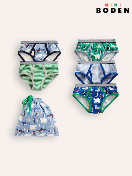 Boden 100% Cotton Briefs 5 Pack (AU3141) | 20 € - 24 €