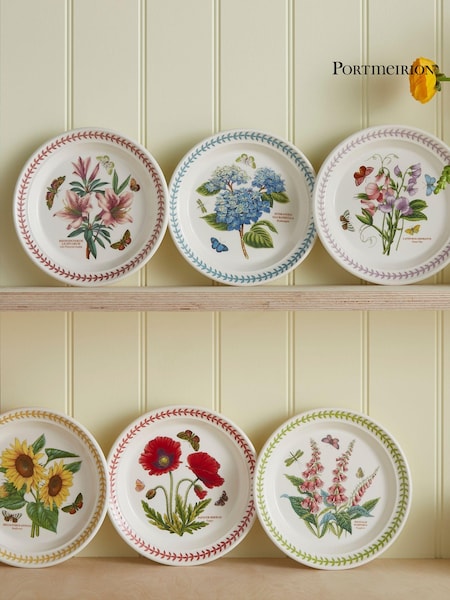 Portmeirion Multi Botanic Garden Meadow Set of 6 Dinner Plates (AU7723) | €155