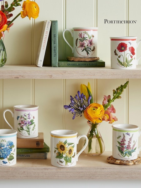 Portmeirion Multi Botanic Garden Meadow Set of 6 Breakfast Mugs (AU7731) | €143
