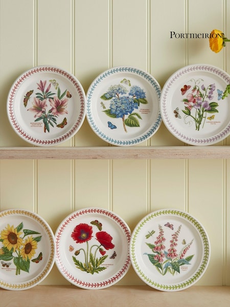 Portmeirion Multi Botanic Garden Meadow Set of 6 Small Dinner Plates (AU7739) | €143