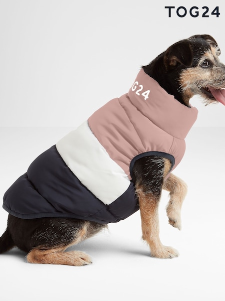 Tog 24 Fetch Padded Dog Coat