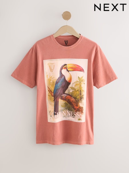 Rust Red Official Guinness License Graphic Short Sleeve 100% Cotton T-Shirt (AV7695) | €34.50