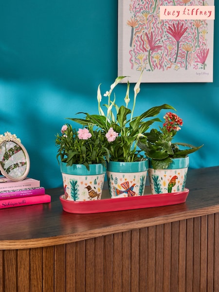 Lucy Tiffney Red/Green Plant Pots Set of 3 (AV8217) | €40