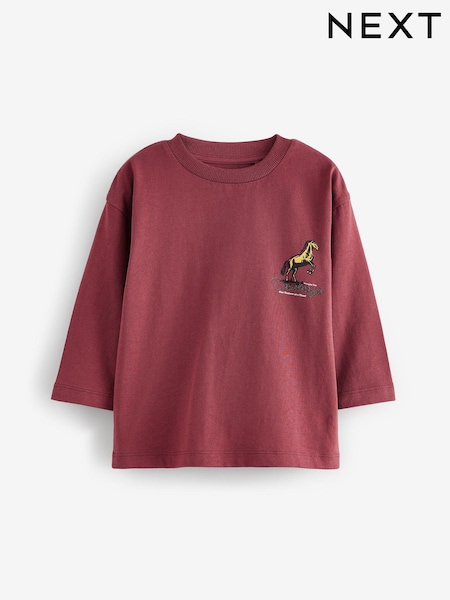 Burgundy Red Back Print Long Sleeve 100% Cotton T-Shirt (3mths-7yrs) (AW1691) | AED21 - AED27