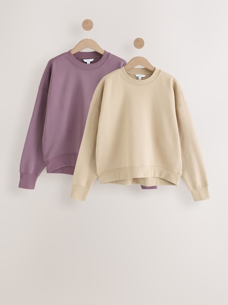 Нейтральный/розоватый - Supersoft Peached Essentials Crew Neck Seam Detail Sweatshirts 2 Pack (AW4353) | €46