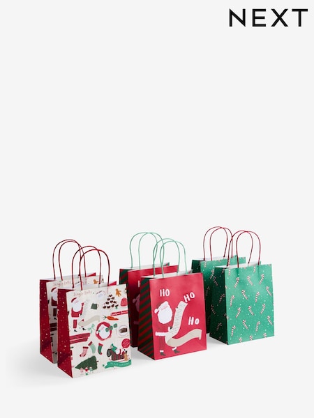 Santa Scene Christmas 6 Pack Gift Bags (AW4432) | €7