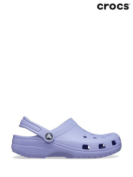 Crocs Plum Purple Adults Classic Clogs (AW5407) | AED291