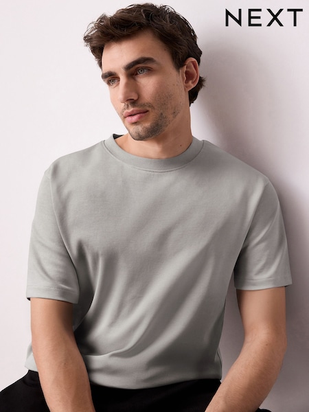 Ice Grey Regular Fit Smart Soft Touch Heavyweight T-Shirt (AW5523) | €18