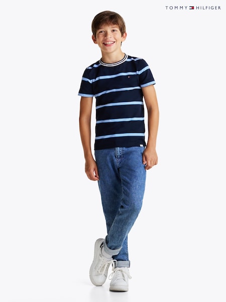 Tommy Hilfiger Blue Regular Fit Stripe 100% Cotton T-Shirt (AW8702) | €29