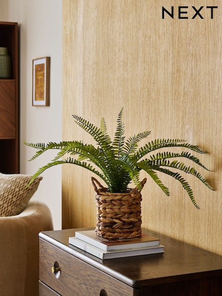 Green Artificial Boston Fern In Natural Woven Plant Pot (AW8752) | AED120