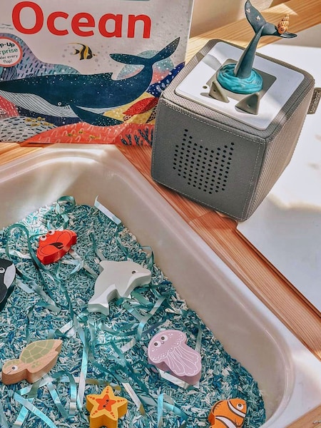 Tonies The Snail and the Whale Tonie Audio Character (AY2758) | €23