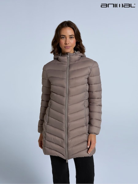 Animal Brown Womens Frankie Padded Longline Jacket (AY7552) | ₪553
