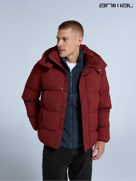 Animal Red Nimbus Mens Padded Jacket (AY7553) | €63