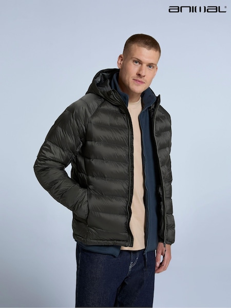 Animal Green Mens Light Cloud Cosi Padded Jacket (AY7556) | R$ 690