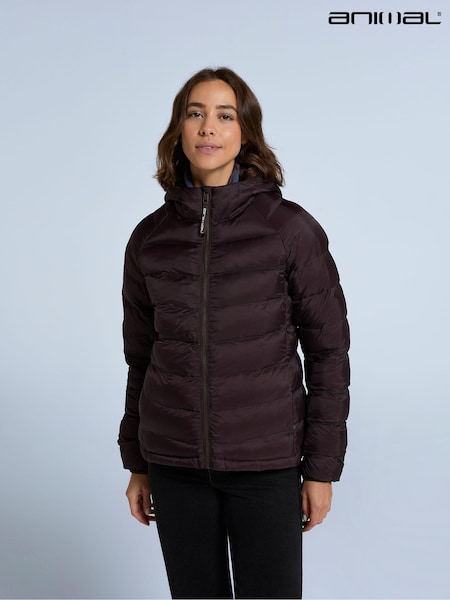 Animal Womens Light Cloud Cosi Padded Jacket (AY7562) | 312 LEI