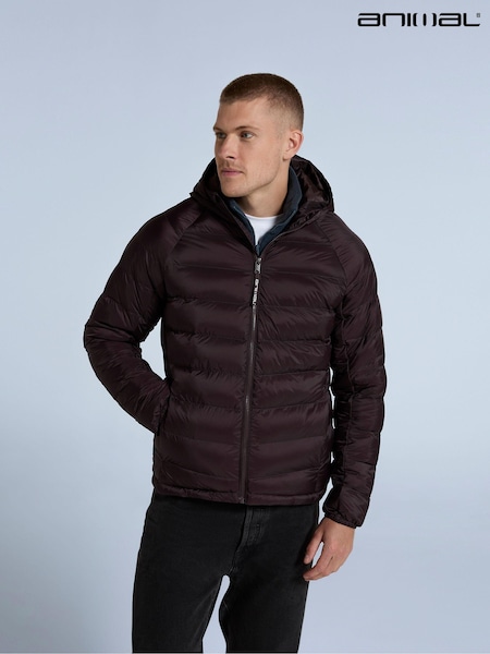 Animal Red Mens Light Cloud Cosi Padded Jacket (AY7565) | R$ 690