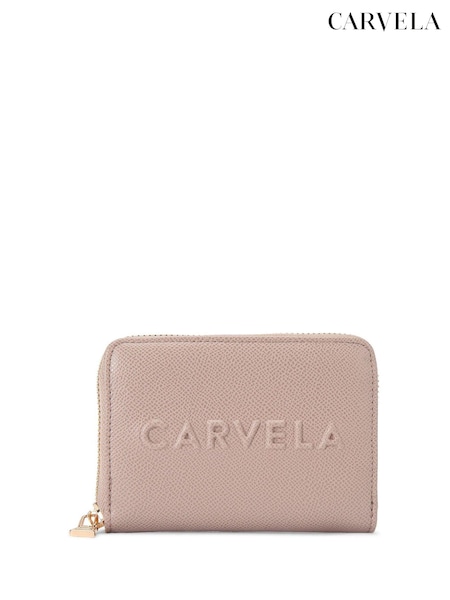 Carvela Frame Mini Black Purse (AY8117) | AED227