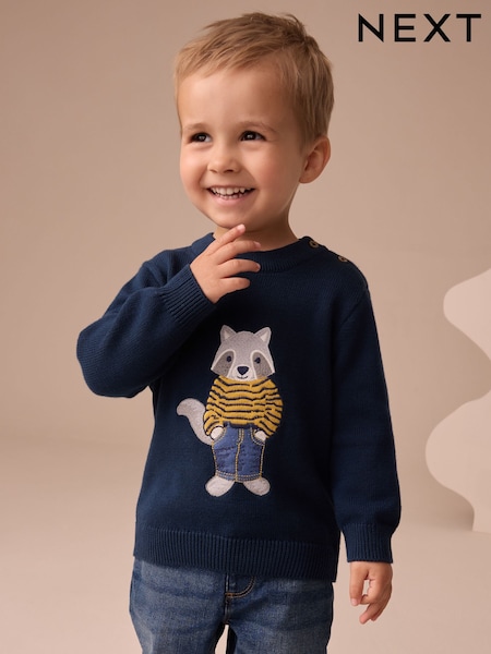 Navy Blue Raccoon Knitted Jumper (3mths-7yrs) (AY8424) | AED76 - AED86
